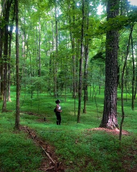 Hiking Vision Board, Hiking Photos Aesthetic, Hiking Black Women, Hiking Aesthetic Black Women, Nature Walk Aesthetic, Nature Hikes Aesthetic, Hike Aesthetic, Hiking Forest Aesthetic, Hiking And Camping Aesthetic