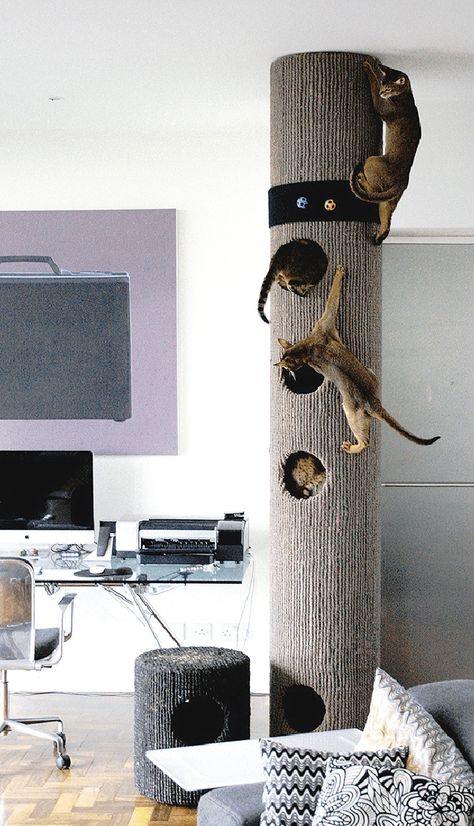 Katt Diy, Katt Grejer, Chat Diy, Kat Diy, Cat Climber, Diy Cat Tree, Modern Cat Tree, Playground Ideas, Cat House Diy