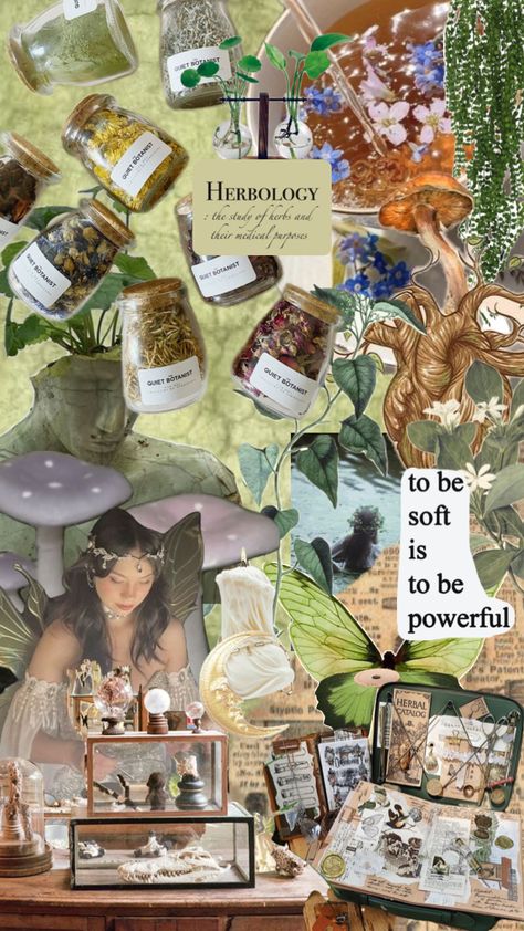 #herbalist #herbalism #herbology Herbal Witch, Dream Vision Board, Half Birthday, Greek Gods And Goddesses, Phone Wallpaper Patterns, Witch Aesthetic, Greek Gods, Editing Pictures, Gods And Goddesses