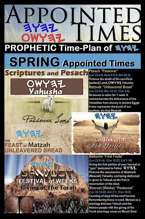 7 Feasts of The Lord Archives · Mini Manna Moments Leviticus 23, Bible Charts, Yom Teruah, Feasts Of The Lord, Simchat Torah, Ancient Hebrew, Zodiac Calendar, Yom Kippur, Sukkot