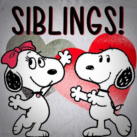 Snoopy and Belle Happy Sibling Day, Snoopy Baby Shower, Snoopy Family, Snoopy Funny, Snoopy Images, Peanuts Cartoon, Snoopy Wallpaper, Snoopy Quotes, Snoopy Pictures