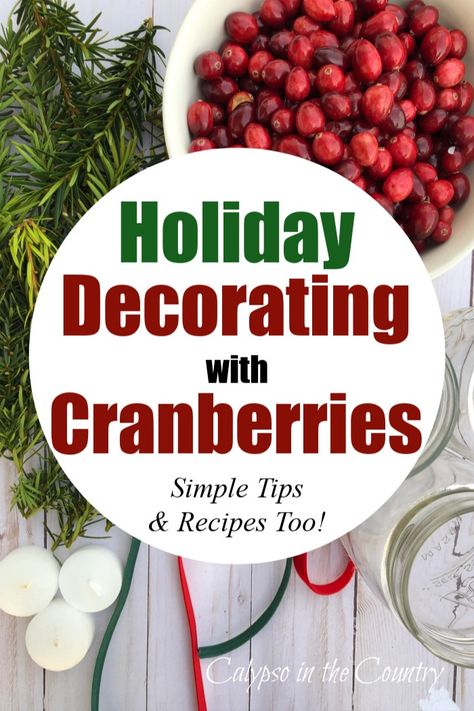 Christmas greenery and bowl of cranberries Cranberry Garland Decor, Decorating With Cranberries Christmas, Decorating With Fresh Cranberries, Decorate With Cranberries, Cranberry Decor Christmas, Christmas Farmhouse Centerpiece, Decorating With Cranberries, Cranberry Centerpiece Christmas, Cranberry Christmas Decorations