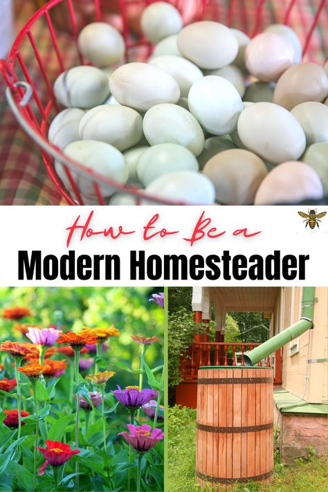 Starting A Farm, Self Sufficient Homestead, Modern Homesteading, Homesteading Diy, Farm Plans, Homestead Farm, Homestead Gardens, Homesteading Skills, Homestead Living