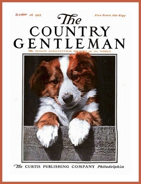 Pet Magazine, Scotch Collie, Country Gentleman, Manly Style, Rough Collie, Publishing Company, Vintage Magazines, Vintage Country, Vintage Magazine