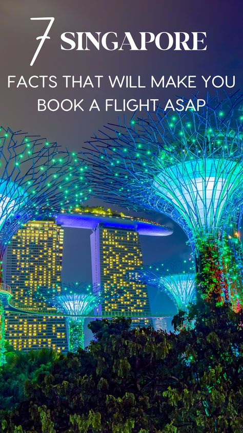 Has Singapore been on your bucket list? In this post we're sharing a Black girl travel magic overview of all the Singapore things to do that you should add to your Singapore vacation itinerary. Singapore is an incredible luxury travel destination, and it's one of our top favorite places to visit. Even the Singapore airport is luxurious! Our Luxury travel Black women trips are ready to book for your next adventure to Singapore. Check out the blog to for a luxury travel guide to Singapore! Travel Black Women, Singapore Airport, Singapore Things To Do, Singapore Vacation, Singapore Botanic Gardens, Solo Travel Destinations, Indoor Waterfall, Luxury Travel Destinations, Vacation Itinerary