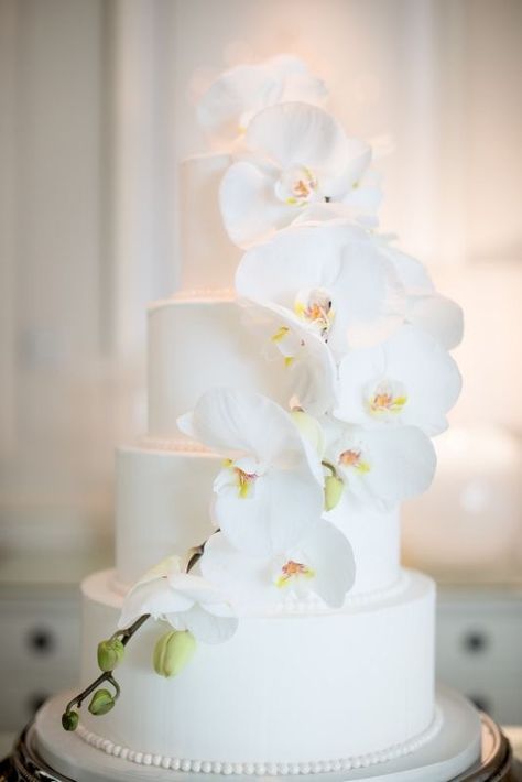 White Orchid Wedding Cake, Cake Fresh Flowers, Orchid Wedding Cake, Orchid Cake, Wedding Cake Centerpieces, Wedding Cake With Flowers, Wedding Cake Fresh Flowers, Cake With Flowers, Black Wedding Cakes