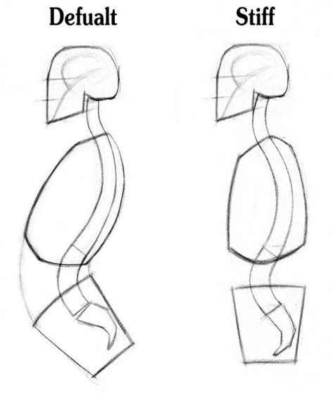 In this lesson you'll learn about the structure of the spine, its vertebrae, and how it moves. Spine Reference, Store Drawing, Anatomy Sculpture, Anatomy Tutorial, Human Anatomy Drawing, Body Drawing Tutorial, Human Figure Drawing, Human Anatomy Art, Anatomy Sketches