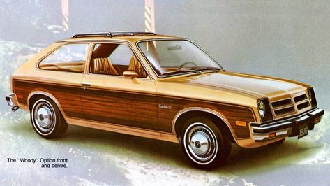 1976 Pontiac Acadian Buick Wagon, Subaru Wagon, Driving To Work, Cool Car Pics, Ford Pinto, Different Cars, Wagons For Sale, Woody Wagon, Gm Car