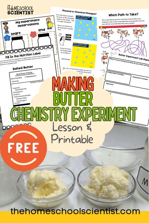 making butter activity and experiment with free science worksheets and printable Mixture Experiments, Chemistry Experiments High School, Chemistry Experiments For Middle School, Chemical Changes Experiments, Chemical And Physical Changes Activities Science Experiments, Food Chemistry Experiment, Chemical Changes Activities, Homemade Butter Experiment, Chemical And Physical Changes Experiment