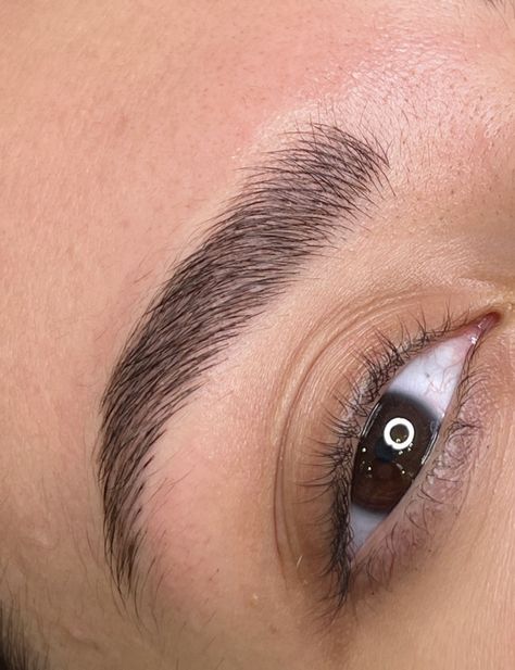 Brow Tattoo Permanent Makeup, Mircoblading Eyebrows, Phibrows Microblading, Instagram Brows, Lips Photo, Brow Stylist, Brow Tattoo, Aesthetic Objects, Neck Tattoos Women