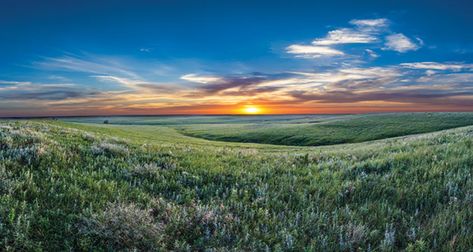 Tall Grass Landscaping, Tallgrass Prairie National Preserve, Kansas Photos, Lewis And Clark Trail, New Mexico Road Trip, Tallgrass Prairie, Prairie Fire, Flint Hills, Mountain Men