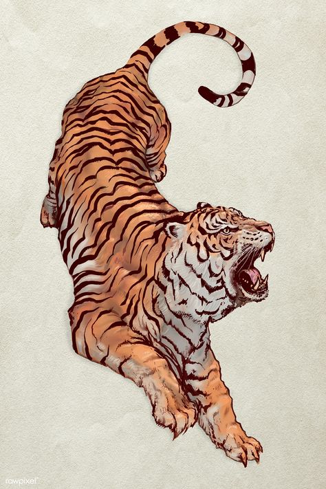 Hand drawn roaring tiger illustration | premium image by rawpixel.com Tiger Outline, Art Tigre, Tiger Vintage, Angry Tiger, Tiger Vector, Tiger Roaring, Japanese Tiger, Portfolio Art, Tiger Drawing