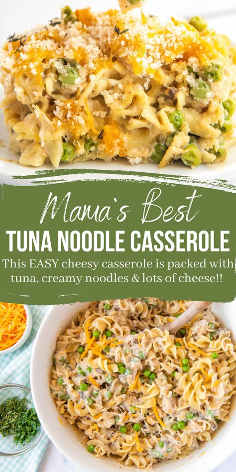 This is my Mama’s recipe for the BEST Tuna Noodle Casserole! It’s easy to make and packed with tuna, cheesy noodles and lots of flavor! #TunaNoodleCasserole #Casserole #EasyCasserole #CasseroleRecipes #TunaCasserole #EasyDinnerIdeas Tuna Surprise, Tuna Noodle Casserole Cheesey, Tina Noodle Casserole, Tuna Tetrazzini Recipe, Tuna Noodle Casserole Easy, Tuna Casserole Recipes, Tuna Noodle, Noodle Casserole Recipes, Tuna Noodle Casserole