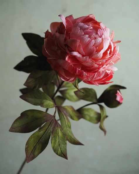 Karin Edlund | Make a peony leaf with me! #paperflowers #pappersblommor #paperpeony | Instagram Peony Leaf, Peony Leaves, Tasha Tudor, Paper Peonies, Crepe Paper Flowers, Crepe Paper, My Garden, Paper Flowers, Peonies