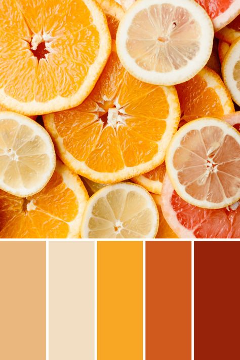 Fruit Color Palettes - This Growing Home In Color Balance, Shades Of Yellow Color, Color Palette Ideas, Wall Living Room, Orange Color Palettes, Color Palette Yellow, Red Colour Palette, Warm Palette, Palette Ideas