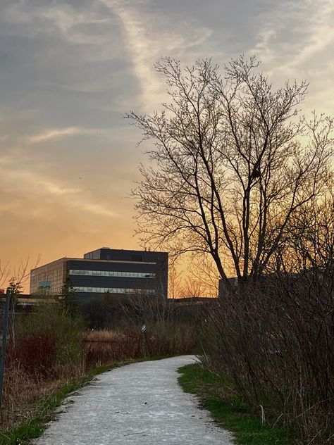 Took it randomly at golden hour whilst walking alongside the Sheridan lake looks absolutely stunning ! Sheridan College, Golden Hour, Walking, Lake