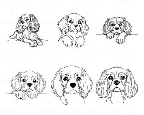 Drawing Cavalier King Charles Spaniel, Cavalier Dog Tattoo, King Charles Cavalier Drawing, King Charles Cavalier Spaniel Drawing, Cavalier King Charles Spaniel Painting, Cavalier Tattoo, Cavalier King Charles Spaniel Tattoo, Cavalier Drawing, Cavalier King Charles Spaniel Drawing