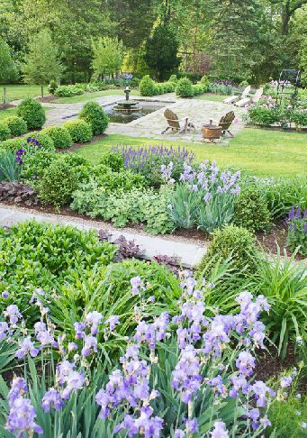 Backyard Garden Beds, Backyard Garden Layout, Garden Walkway, Formal Garden, Garden Shrubs, Iris Garden, Formal Gardens, The Secret Garden, Garden Bed