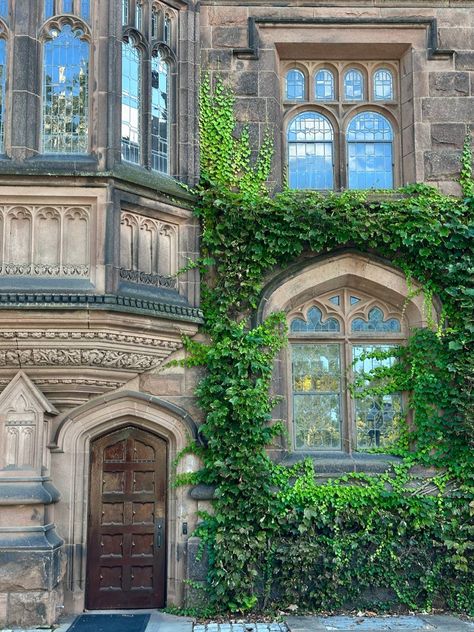 #university #princeton #school #usa #new #newyorkcity Private University Aesthetic, Prinston University, Princeton Aesthetic, Princeton University Aesthetic, Ilvermorny Aesthetic, College Gothic, Princeton University Campus, Dream Studies, University Aesthetic