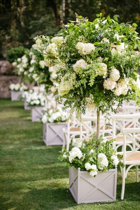 Trees Garden Wedding Ceremony Decorations, Used Wedding Decor, Tattoo Plant, Ceremony Aisle, Napa Valley Wedding, Garden Weddings Ceremony, Flowers And Greenery, Topiary Trees, Ceremony Flowers