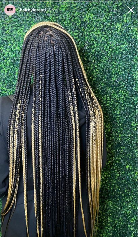 Black Braids With Blonde Ends, Back Length Box Braids, 530 Knotless Braids, Blonde And Black Knotless Braids, Edges Tut, Braid Colors, Birthday Braids, Braids With Color, Black Girls Hairstyles Weave