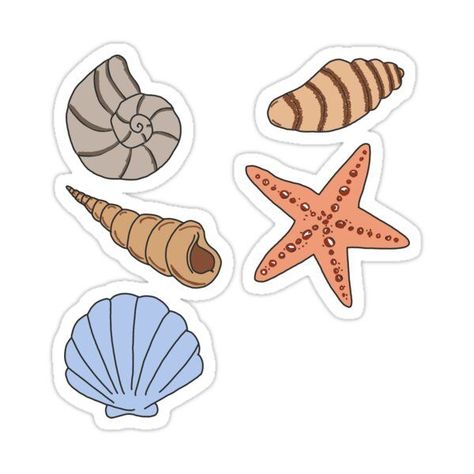 Shells Sticker by stickersbylaurt Cute Beach Stickers, Beach Stickers Printable, Coastal Stickers, Beach Stickers Aesthetic, Summer Stickers Aesthetic, Shells Drawing, Sticker Pack Printable, Beach Decals, Simple Stickers