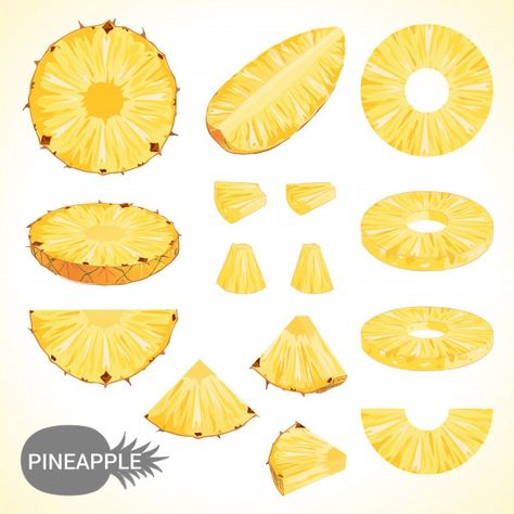 Pineapple Drawing, Pineapple Illustration, Pineapple Vector, Food Sketch, Pineapple Slices, Fruit Painting, Fruit Art, Fruit Pattern, Fruit And Veg