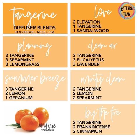 Tangerine Essential Oil Blends, Tangerine Diffuser Blends, Tangerine Essential Oil, Essential Oil Combinations, Essential Oils Collection, Eucalyptus Lavender, Doterra Essential Oils Recipes, Essential Oil Diffuser Blends Recipes, Young Living Essential Oils Recipes