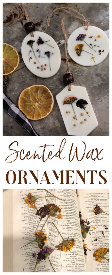 Scented Botanical Wax Ornaments – The CentsAble Shoppin Herbal Christmas Ornaments, Smell Good Christmas Ornaments, Diy Scented Ornaments, Herb Christmas Ornaments, Scented Christmas Ornaments Diy, Wax Ornaments Diy Christmas, Essential Oil Ornaments Diy, Diy Nature Inspired Christmas Ornaments, Scented Ornaments Diy