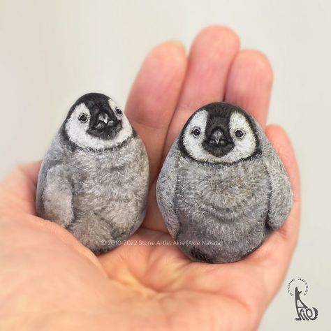 Painted Pet Rocks, Penguin Rock Painting, Penguin Rocks, Animal Rock Painting, Rock Painting Animals, Rock Artwork, Clay Workshop, Rock Animals, Brick Art