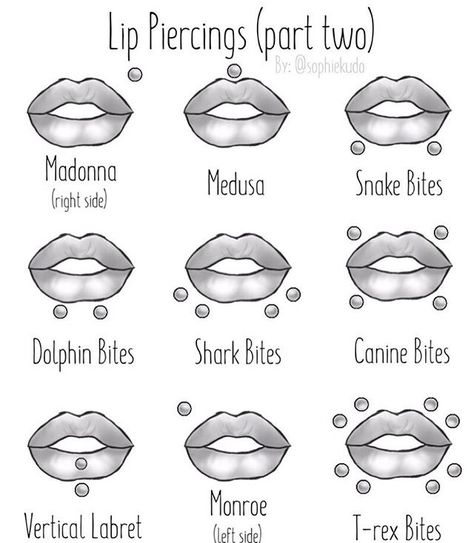 Piercing Drawing, Angel Bites Piercing, Piercings Chart, Angel Bites, Snake Bite Piercing, Mouth Piercings, Piercing Chart, Lip Piercings, Scene Makeup