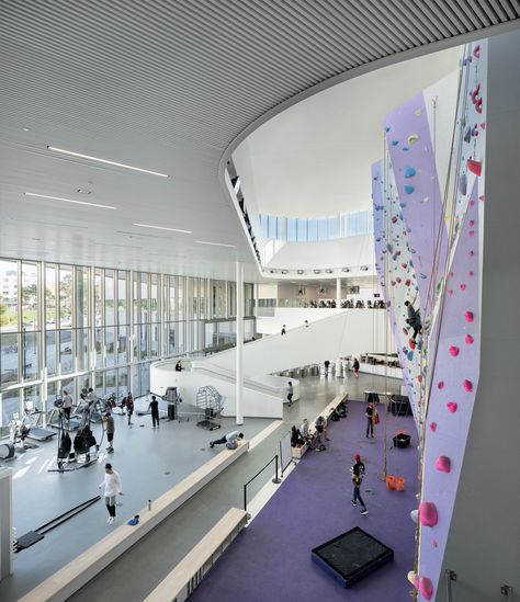 Fieldhouse Architecture, Wellness Center Design, Sports Facility Architecture, Indoor Climbing Wall, Aesthetic Sports, University Aesthetic, San Francisco State University, Campus Events, Indoor Climbing