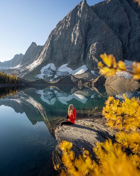 Fall in the Canadian Rockies is unmatched 🧡 Have you ever experienced fall in the Rockies? 🍂 Rockies Canada, The Rockies, Canadian Rockies, Have You Ever, Rocky, Around The Worlds