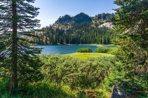 Cascade Idaho, Visit Idaho, Idaho Travel, What A Beautiful World, Travel Wishlist, Blue Lake, Oregon Travel, Idaho, The Great Outdoors