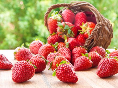 How To Store Strawberries - The Greatest Ways 2022 Coolatta Recipe, Frozen Strawberry Margarita, How To Store Strawberries, Freezing Strawberries, Dehydrated Strawberries, Strawberry Gin, Snack Sani, Cut Strawberries, Strawberry Lime