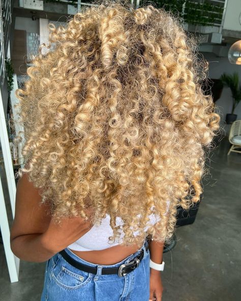 Blonde Coily Hair, Curly Blonde Hair Black Women, Blonde Curly Hair Black Women, Blonde Curly Hairstyles, Honey Blonde Curls, Curly Crotchet Hairstyles, Blonde Hair Curly, Blond Curls, Blonde Afro