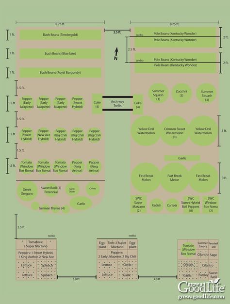 Vegetable Garden Layout, Deer Resistant Garden, Vegetable Garden Beds, Garden Watering System, Garden Problems, Vegetable Garden Planner, Backyard Seating Area, Garden Site, Garden Layout Vegetable