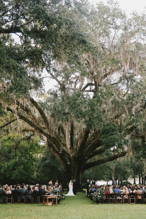 Eden Gardens State Park, Grayton Beach Florida, Bayou Wedding, Wedding Times, Willow Tree Wedding, Moss Tree, Oak Tree Wedding, Eden Gardens, State Park Wedding