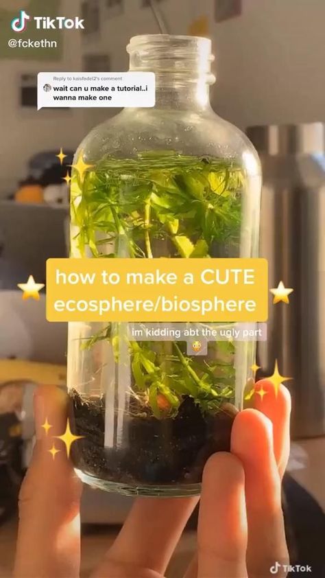 نباتات منزلية, Terraria, Diy Crafts To Do, Diy Crafts Hacks, Easy Diy Art, Cool Ideas, Crafts Hacks, Fun Diy Crafts, Plant Mom