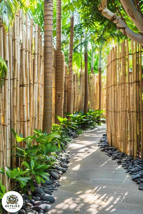 Backyard Bamboo Privacy Fence, Bamboo Fences And Gates, Bamboo Courtyard Garden, Natural Fence Ideas Backyards, Extra Tall Privacy Fence Ideas, Garden Bamboo Ideas, Live Fence Ideas Yard Privacy, Natural Privacy Fence Ideas, String Lights Fence