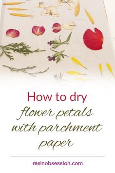 How To Dry Out Flowers, Dry Flower Petals, How To Dry Flowers, Flower Drying, Drying Flowers, Dried Petals, Parchment Crafts, Dried Flowers Diy, Parchment Paper Craft