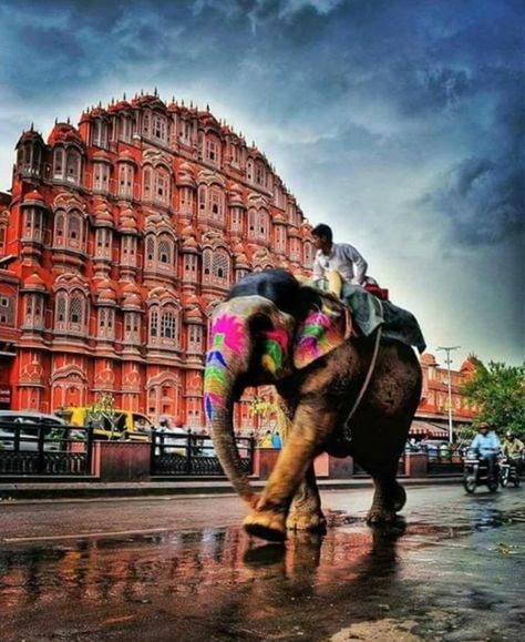 Hawa Mahal, India Photography, Africa Art, Tourist Places, Historical Place, Incredible India, Best Places To Travel, India Travel, Goa