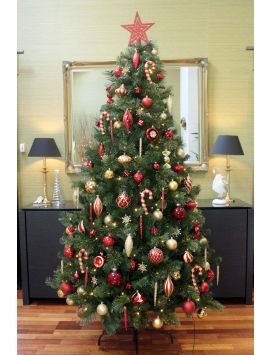 Christmas Tree Bag, 6ft Christmas Tree, Tall Christmas Trees, Tree Bag, Wreaths And Garlands, Extension Ideas, Decoration Piece, Holiday Inn, Artificial Christmas Tree