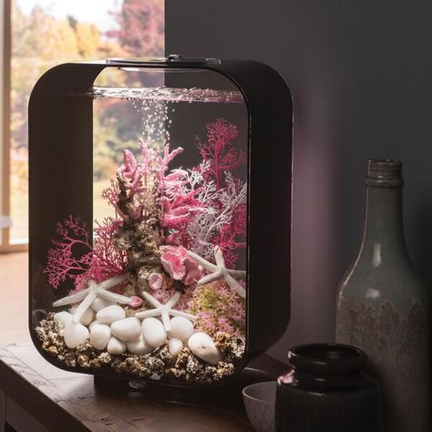 Aquarium Set, Acrylic Aquarium, Cool Fish Tanks, Fish Tank Design, Fresh Water Fish Tank, Glass Aquarium, Tropical Aquarium, Aquarium Tank, Turtle Tank