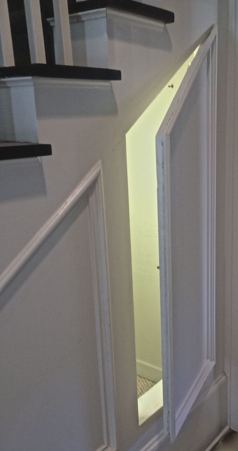 Door Under Stairs, Stairway Storage, Hidden Doors In Walls, Room Under Stairs, Space Under Stairs, Closet Under Stairs, Hidden Room, Pet Room, Secret Closet