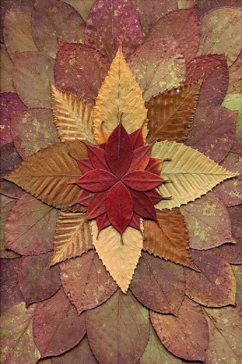 Petals Fall Hike Autumn Mandala, Topiary Ideas, Images Victoriennes, Nature Mandala, Autumn Leaves Art, Beautiful Leaves, Pressed Leaves, Earth Art, Nature Crafts