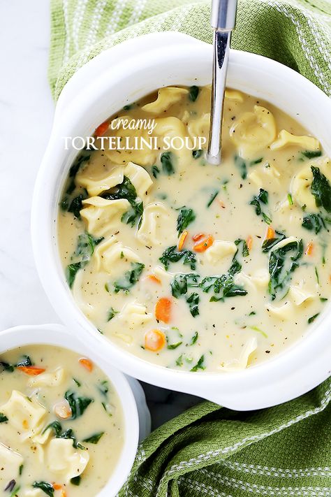 Creamy Tortellini Soup - Quick, easy, and deliciously creamy soup packed with cheesy tortellini and fresh spinach. Salad Combinations, Easy Homemade Soups, Cheesy Tortellini, Creamy Tortellini, Creamy Tortellini Soup, Chicken Tortellini Soup, Spinach Tortellini, Chicken Tortellini, Vegetarian Soup Recipes