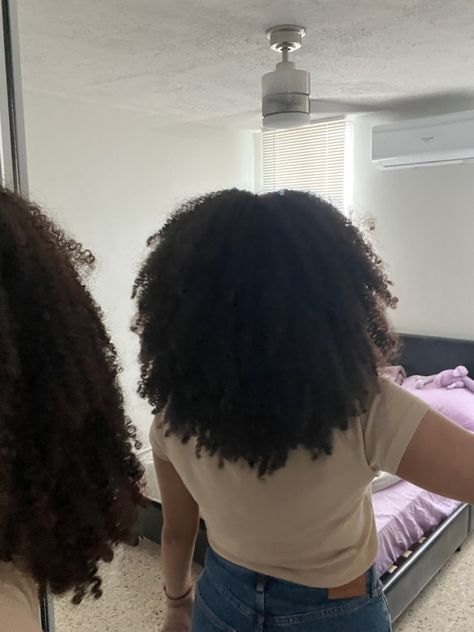 Wash And Go Long Hair, Afro Hair Aesthetic, Healthy Afro Hair, Type 3 Curly Hair, Natural Hair Wash And Go, 3 Curly Hair, Curly Aesthetic, Haze Aesthetic, Natural Hair Wash