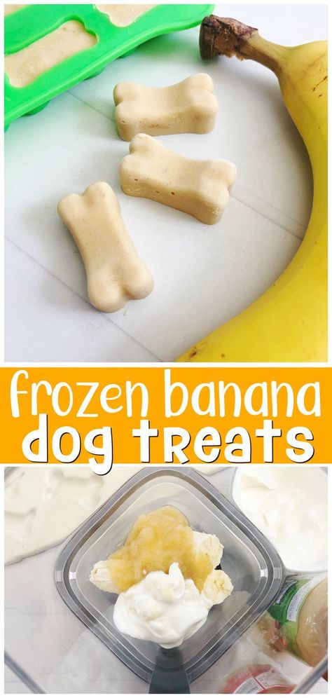 Dog Treats - Saw what you like? - Shop for the collection immediately, Click for more fantastic tips. Banana Applesauce Dog Treats, Applesauce Dog Treats Homemade, Banana Treats For Dogs, Dog Treats With Banana, Dog Treats With Applesauce, Applesauce Dog Treats, Dog Treats To Make, Banana Dog Treats, All Natural Dog Treats