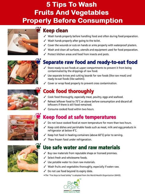 The five tips to wash food are- Keep Clean, cook foo thoroughly. use safe water, heat food at safe temperatures. Kitchen Safety Tips, Food Safety Posters, Food Safety And Sanitation, Food Safety Training, Culinary Lessons, Food Safety Tips, Hong Kong Food, Kitchen Safety, Food Handling